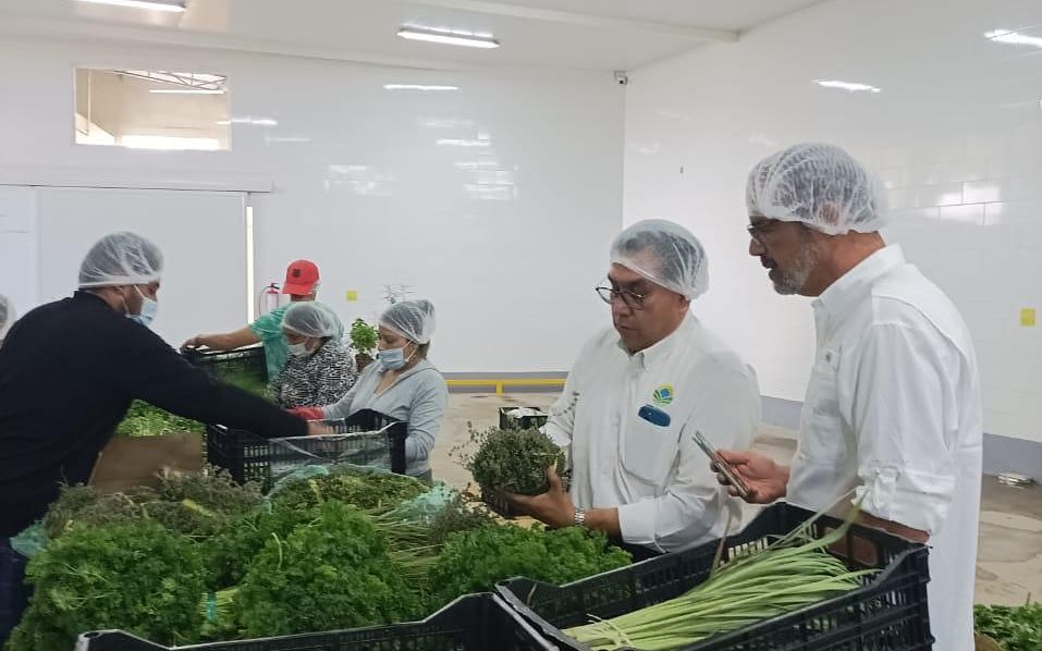 Equipo de empaque de Mixteca Foods