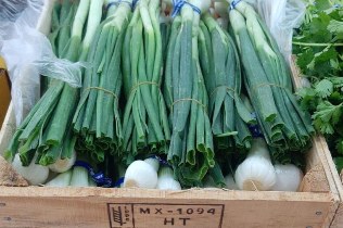Cebolla cambray en caja