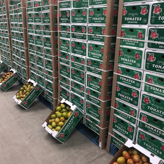 Tomate empacado en caja
